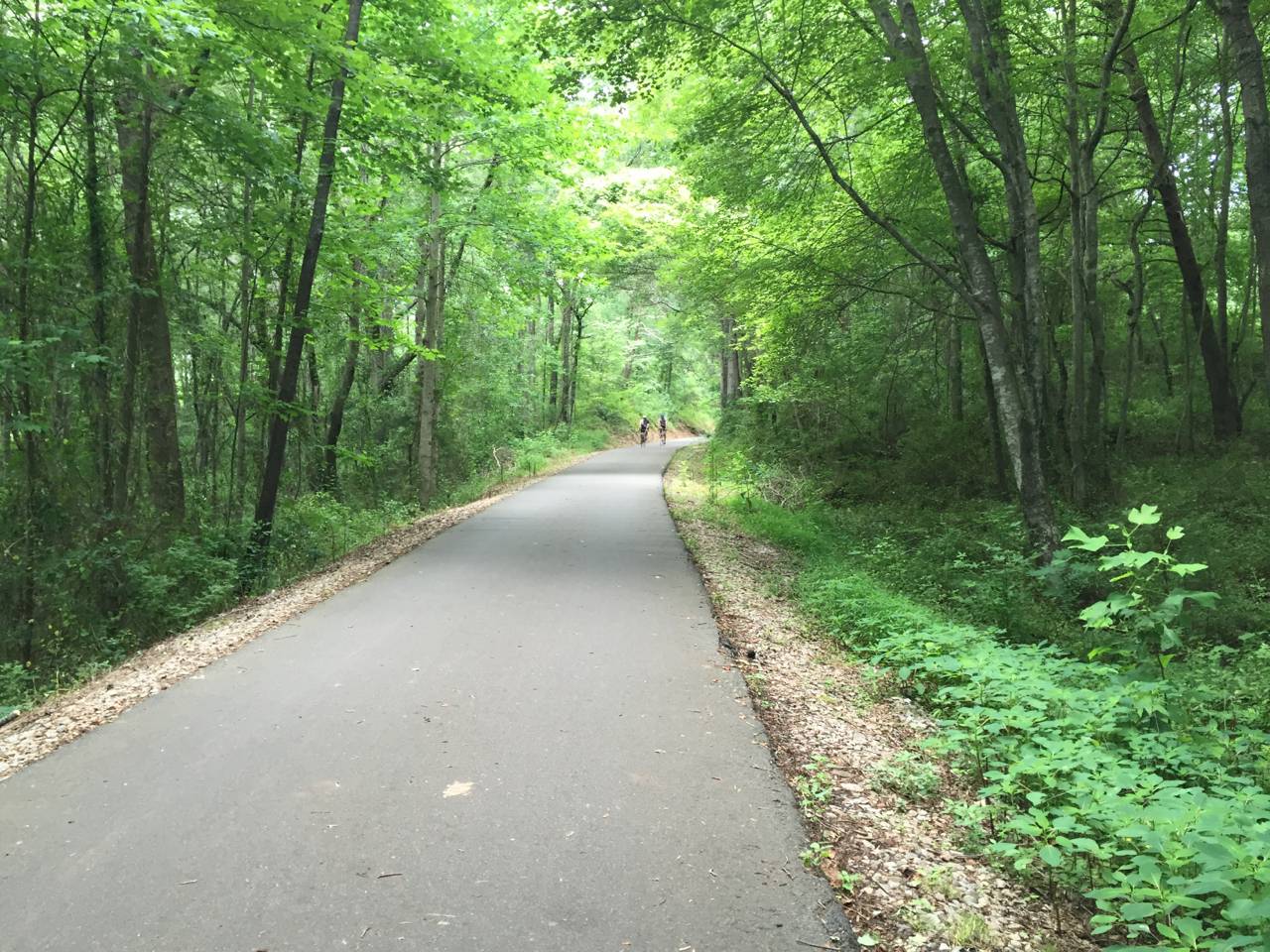 Swamp Rabbit Trail